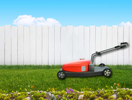 lawnmower in backyardの写真素材