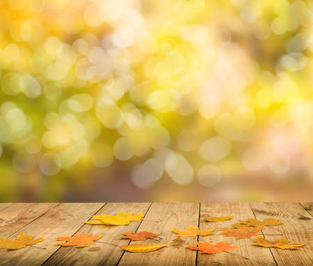 autumn leaves background