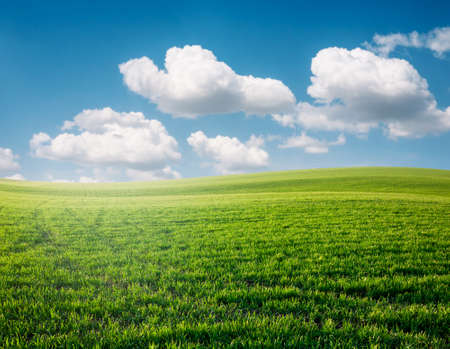 summer landscapeの写真素材