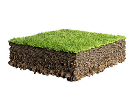 grass and soil profileの写真素材
