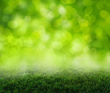grass backgroundの写真素材
