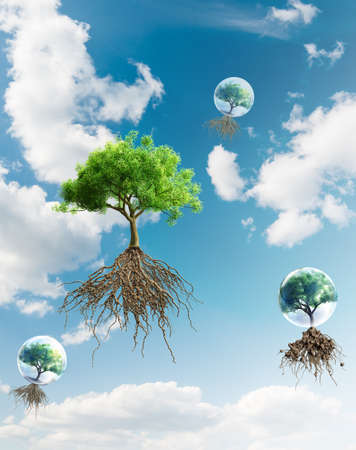 green recycle conceptの写真素材