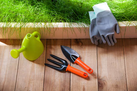 gardening toolsの写真素材