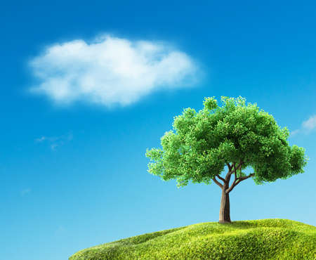 green tree on meadowの写真素材