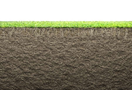 grass with roots and soilの写真素材