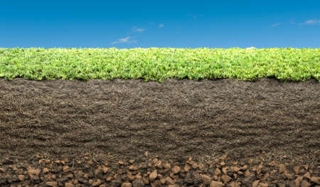 grass with roots and soilの写真素材
