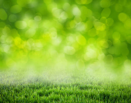 grass backgroundの写真素材