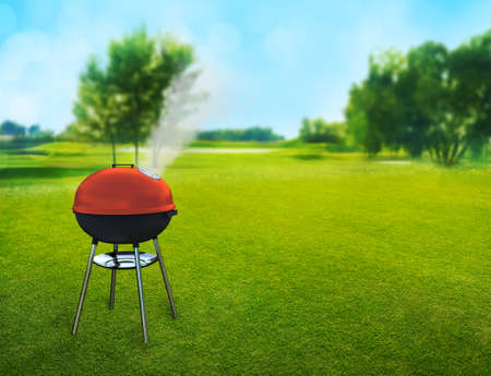 barbecue picnic on backyardの写真素材