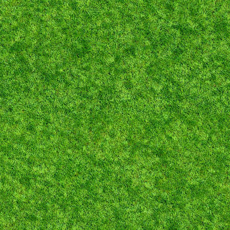 seamless grass textureの写真素材