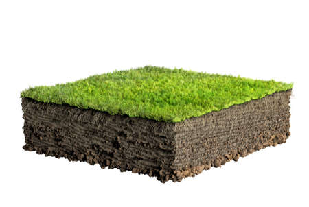 grass and soil profileの写真素材