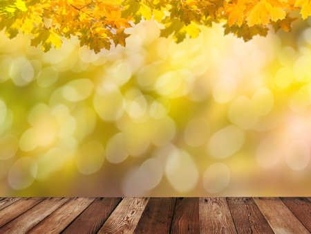 autumn backgroundの写真素材