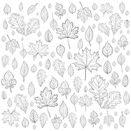 leaves silhouettes vectorのイラスト素材