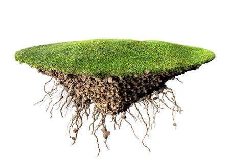grass island and soilの写真素材