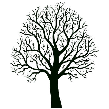 tree isolated vectorのイラスト素材