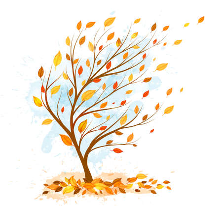 autumn treeのイラスト素材