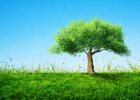 tree with grassの写真素材
