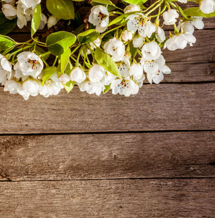 spring background with flowersの写真素材
