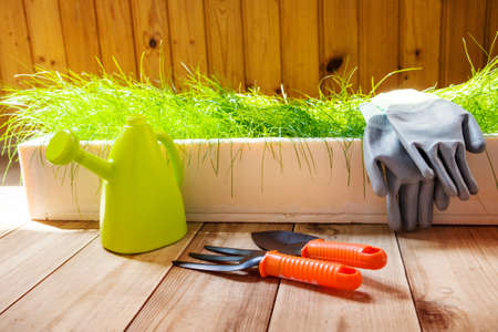 gardening toolsの写真素材