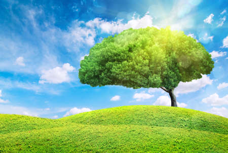 Green spring landscapeの写真素材