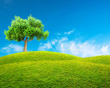 Green spring landscapeの写真素材