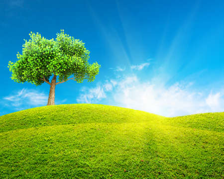 Green spring landscapeの写真素材