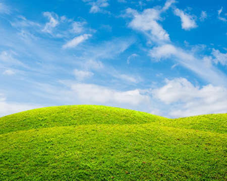 Green spring landscapeの写真素材