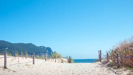 sand dunes coastの写真素材