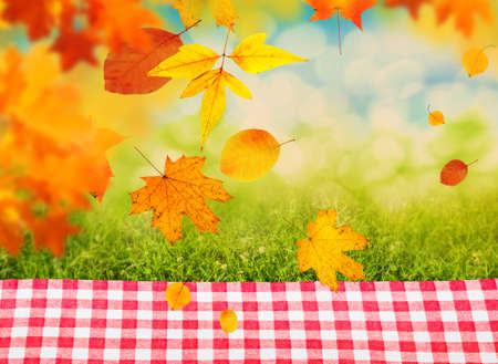 autumn backgroundの写真素材