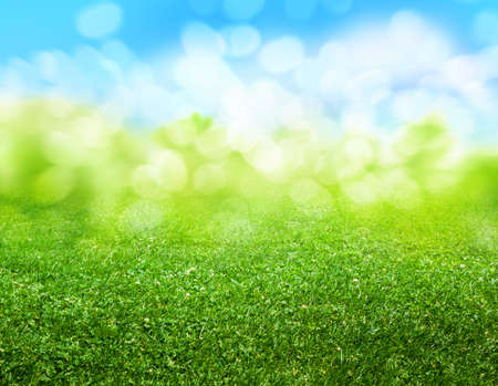 green grass blurred backgroundの写真素材