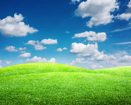 Green spring landscapeの写真素材