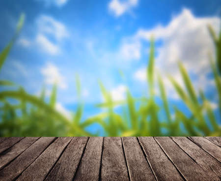 summer sea and wooden plank backgroundの写真素材