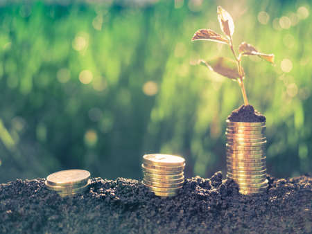 money growth conceptの写真素材