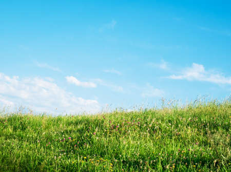grass and sky landscapeの写真素材
