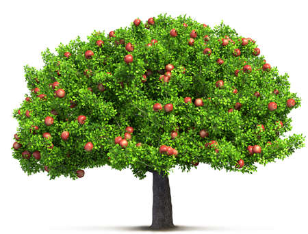 red apple tree isolated 3D illustrationの写真素材