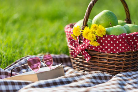 picnic basket and blanketの写真素材
