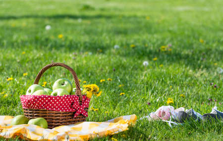 picnic basket and blanketの写真素材