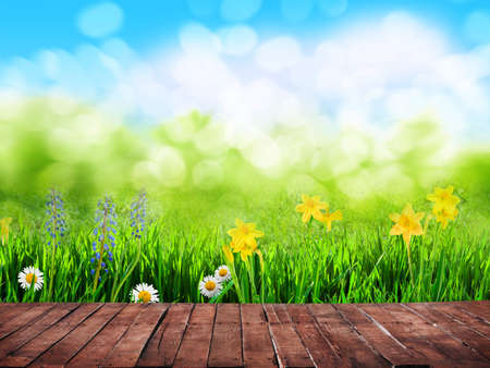 spring background with flowers and wooden floor