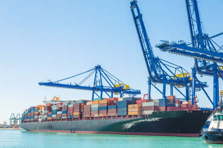 Container ship in harbor