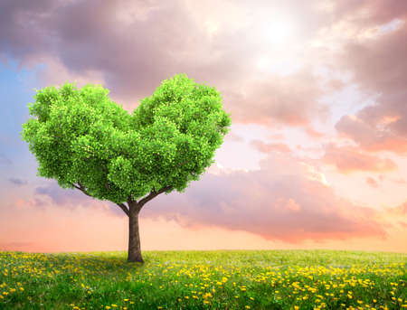 Green spring landscape with tree in heart shapeの写真素材