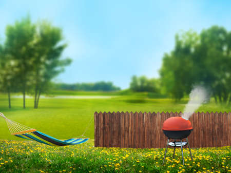 bbq picnic on backyardの写真素材