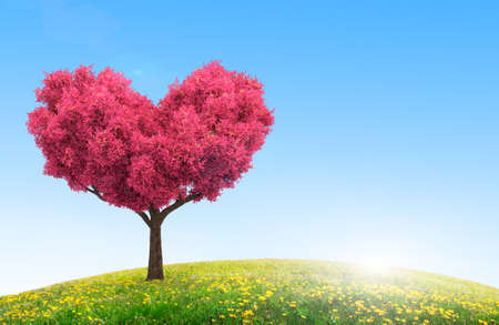 idyllic field landscape with flowers and pink tree in heart shapeの写真素材
