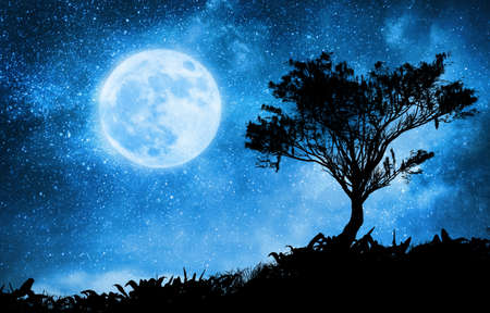 magic night lanscape with starry sky and moonの写真素材