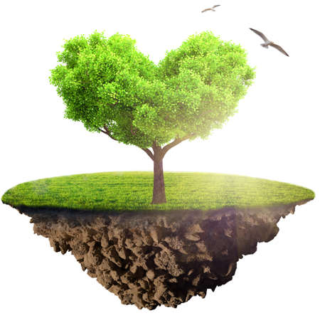 green grass island with tree with heart shape floating in skyの写真素材