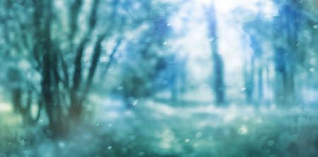 fantasy defocused forest backgroundの写真素材