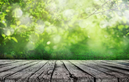 wooden table and spring grass and tree leaves backgroundの写真素材