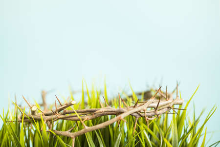 crown of thorns and grass easter backgroundの写真素材