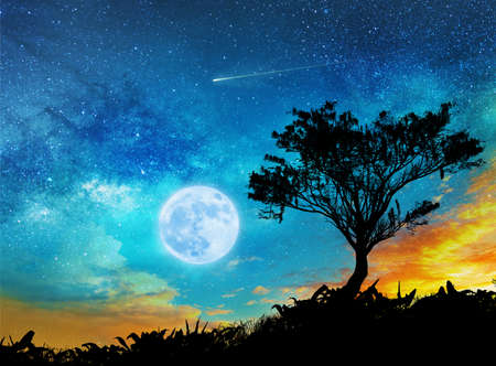 magic night lanscape with starry sky, full moon and treeの写真素材