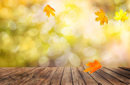 Wooden table with orange leaves autumn background
