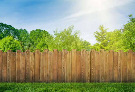 trees in garden and wooden backyard fence with grassの写真素材