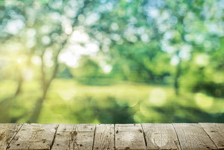 Wooden table and spring forest background